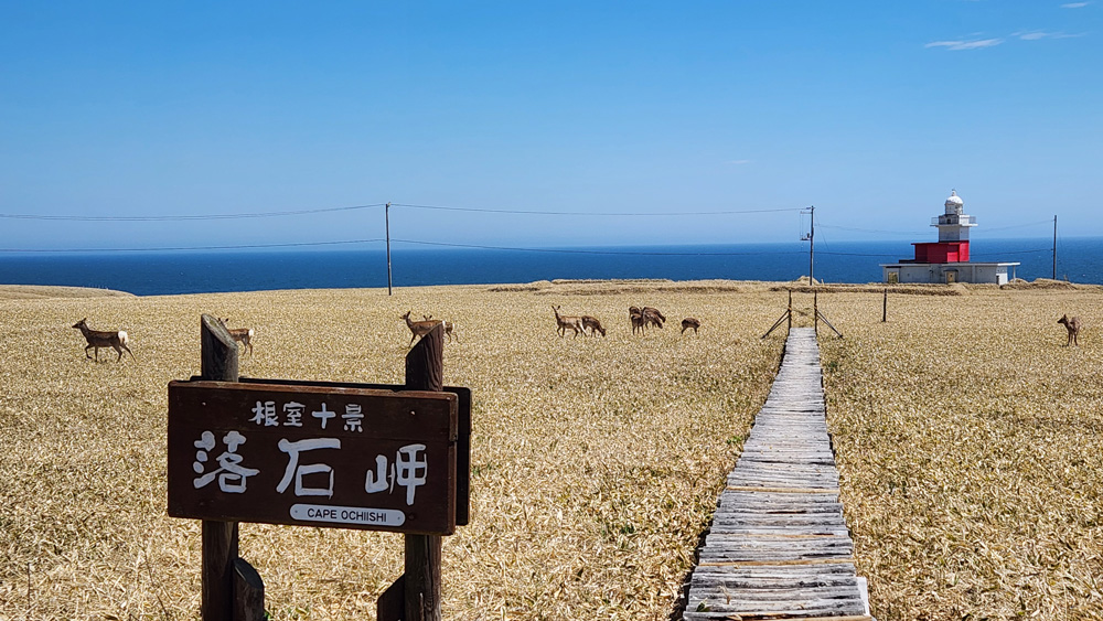 落石岬